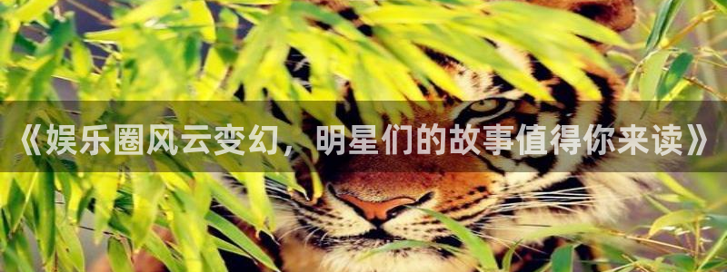 天天购彩体育论坛：《娱乐圈风云变幻，明星们的故事值得你来读》