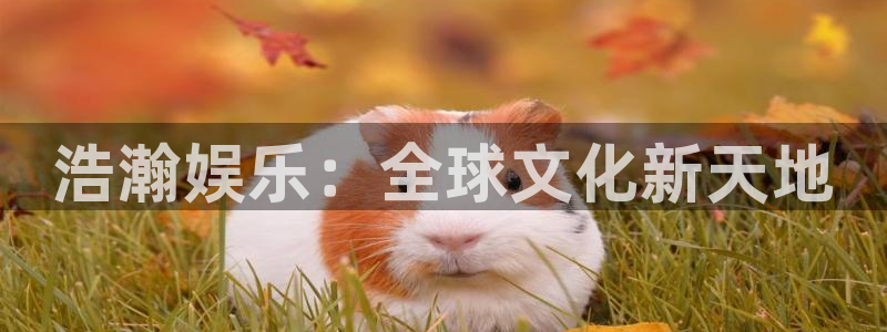 天天购彩体育注册代理：浩瀚娱乐：全球文化新天地