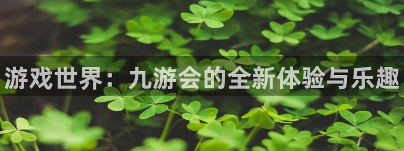 天天购彩4开户：游戏世界：九游会的全新体验与乐趣