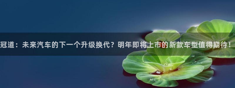 天天购彩平台在线注册：冠道：未来汽车的下一个升级换代？明年即将上市的新款车型值得