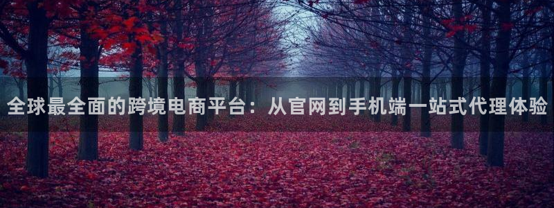 天天购彩体育官网：全球最全面的跨境电商平台：从官网到手机端一站式代理体验