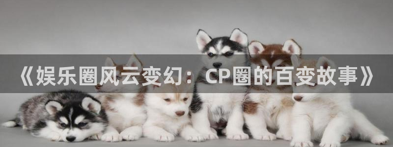 天天购彩体育f开户：《娱乐圈风云变幻：CP圈的百变故事》