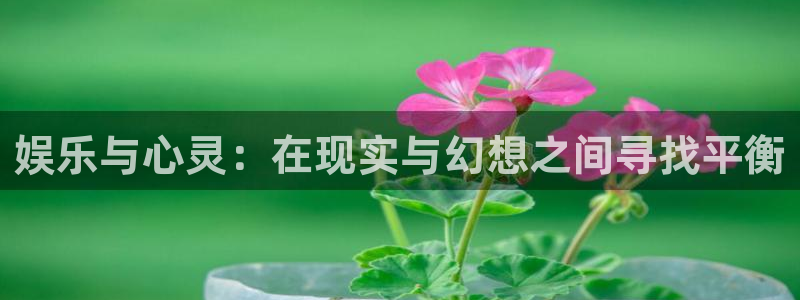 天天购彩体育平台总代理：娱乐与心灵：在现实与幻想之间寻找平衡