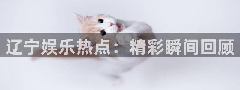 天天购彩招商：辽宁娱乐热点：精彩瞬间回顾