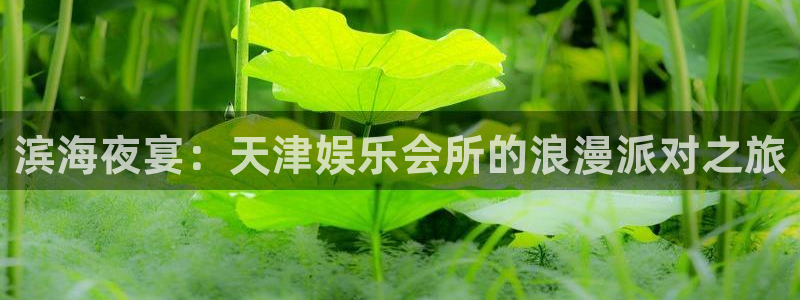 天天购彩