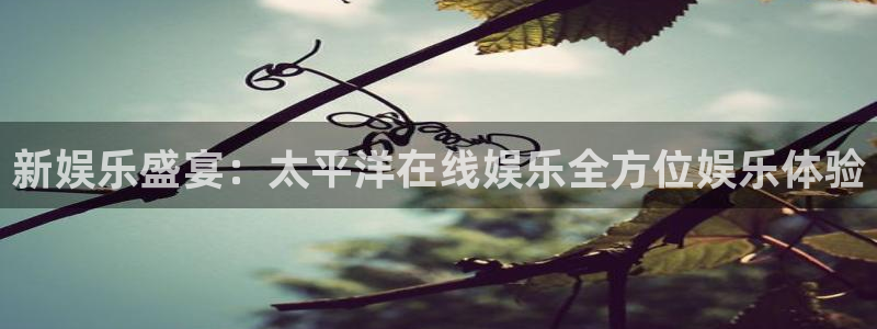 天天购彩4开户