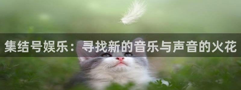 天天购彩体育注册：集结号娱乐：寻找新的音乐与声音的火花