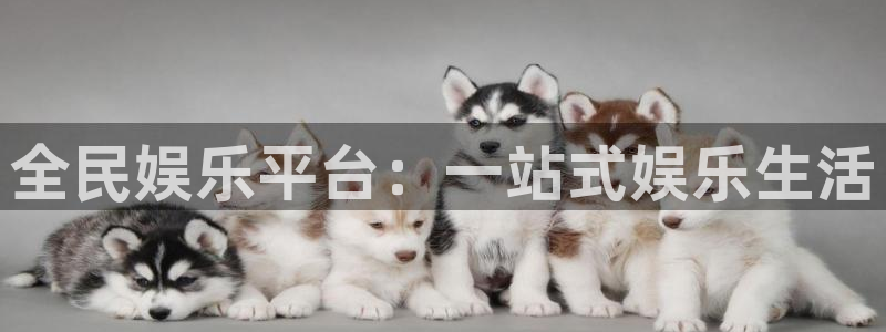 天天购彩体育官网：全民娱乐平台：一站式娱乐生活