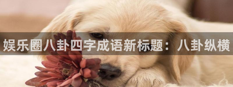 天天购彩体育论坛：娱乐圈八卦四字成语新标题：八卦纵横